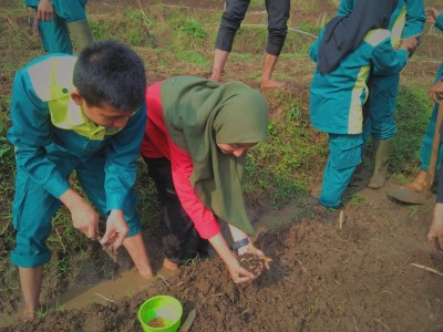 Kegiatan Praktik di Lahan Sipatahunan